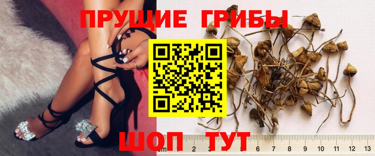 Псилоцибиновые грибы мицелий  Вход с VPN  цена   Псилоцибиновые грибы прущие грибы  Рязань 